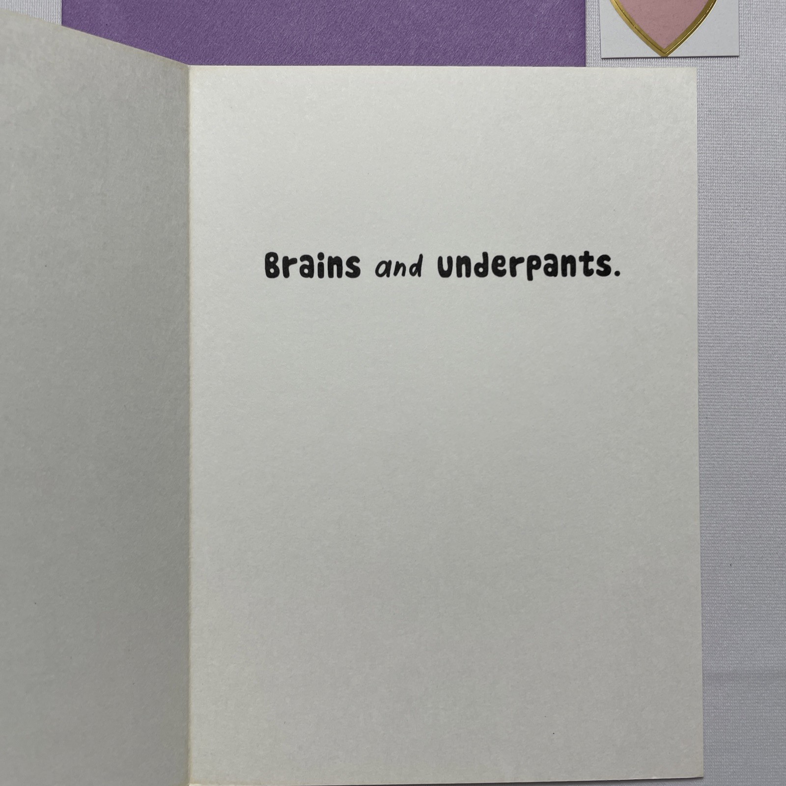 Funny Any Day/Birthday Brains Underpants Paris Hilton Britney Spears Card + 🩷