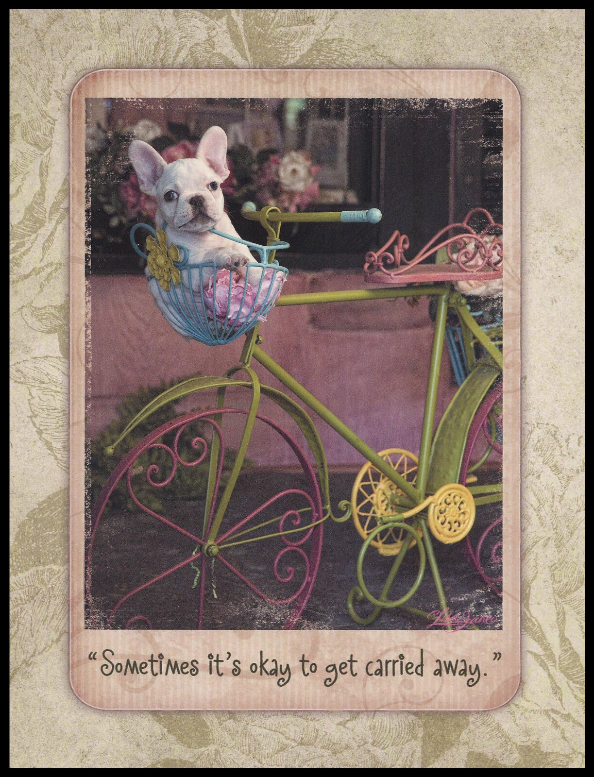 Greeting Card – Dog Puppy White French Bulldog – Lisa Jane – Birthday 0822