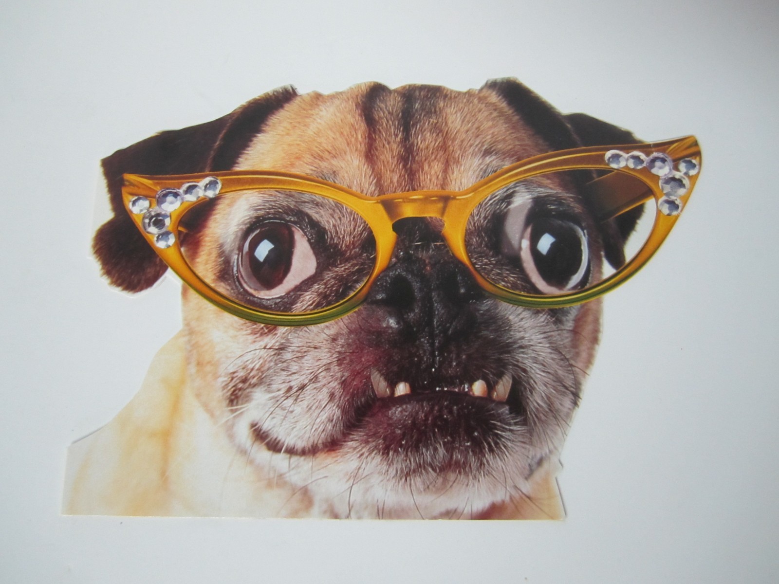 Pug Birthday Greeting Card with Envelope “You’re A Gem! Happy Birthday”