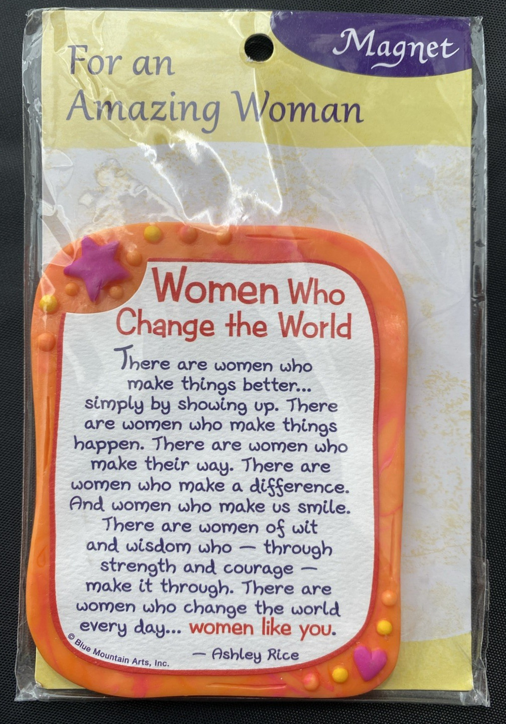 Blue Mountain Arts Miniature Easel/Magnet woman who change the world