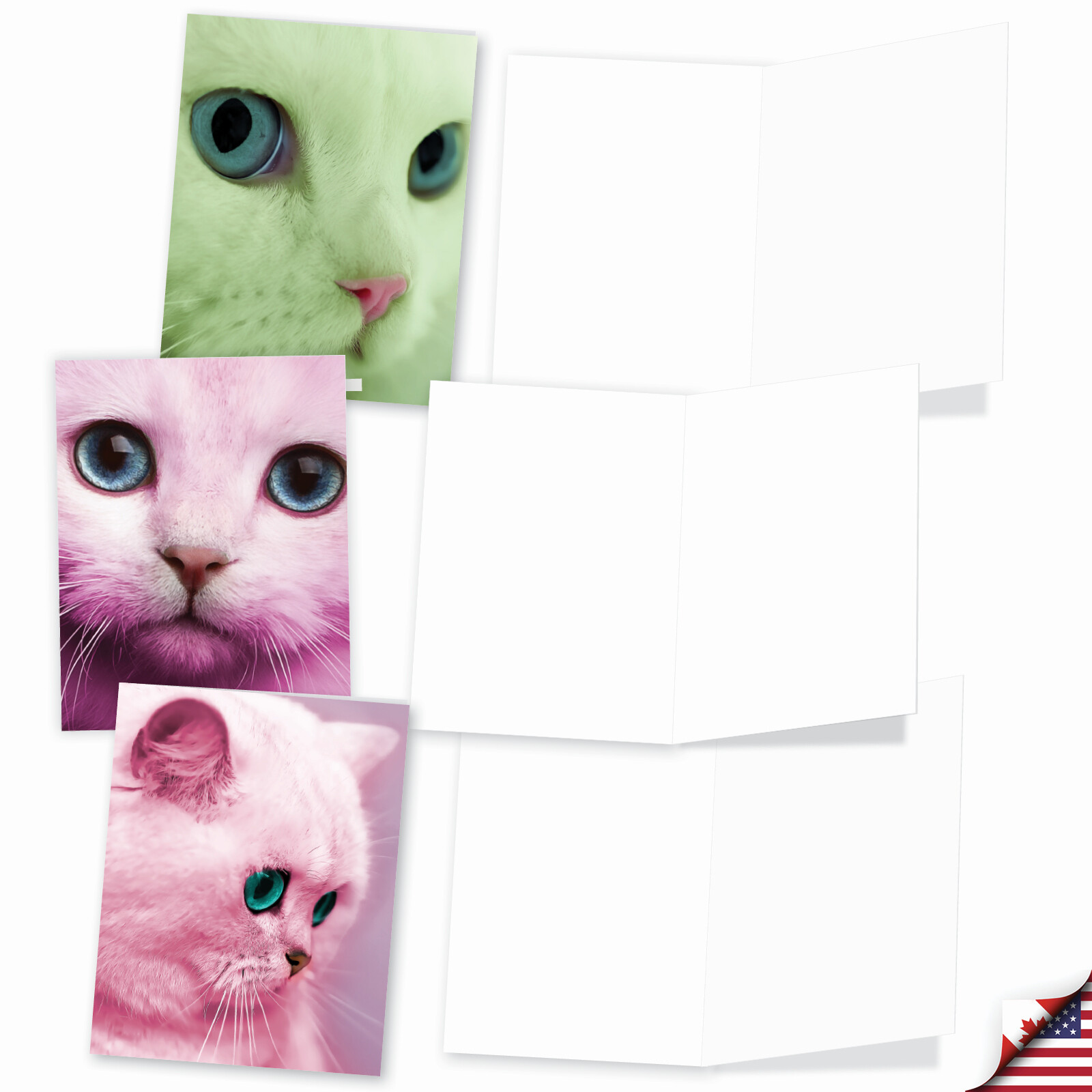 20 Assorted Blank Cards (10 Designs, 2 Ea) – Fancy Feline Faces AM7179OCB-B2x10