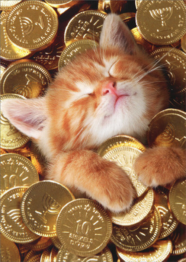 Kitten With Gold Coins Avanti Cute Cat Hanukkah Card
