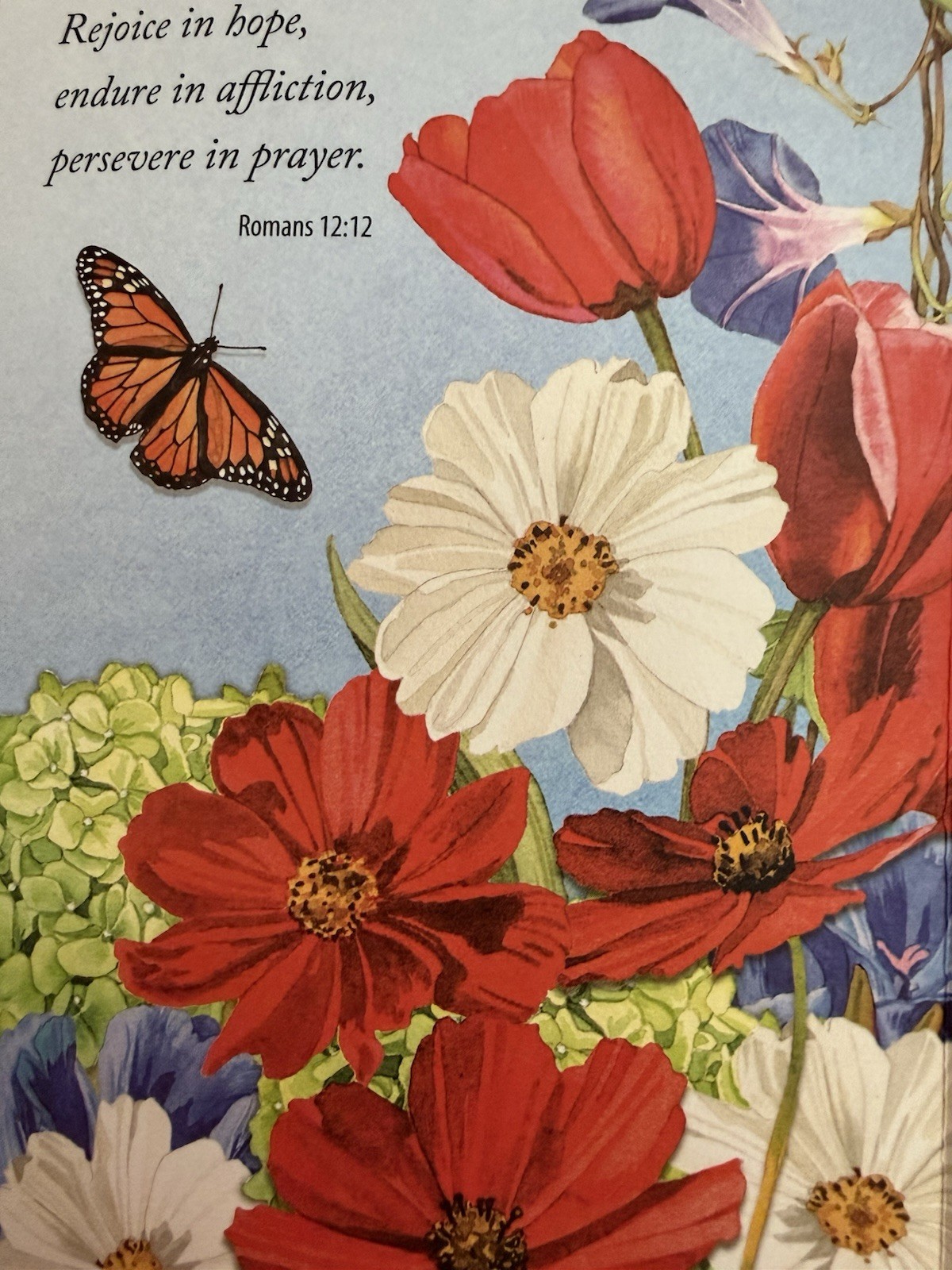 “You’re in My Thoughts” – Beautiful flower garden with butterfly – 4.75″ X 6.5″