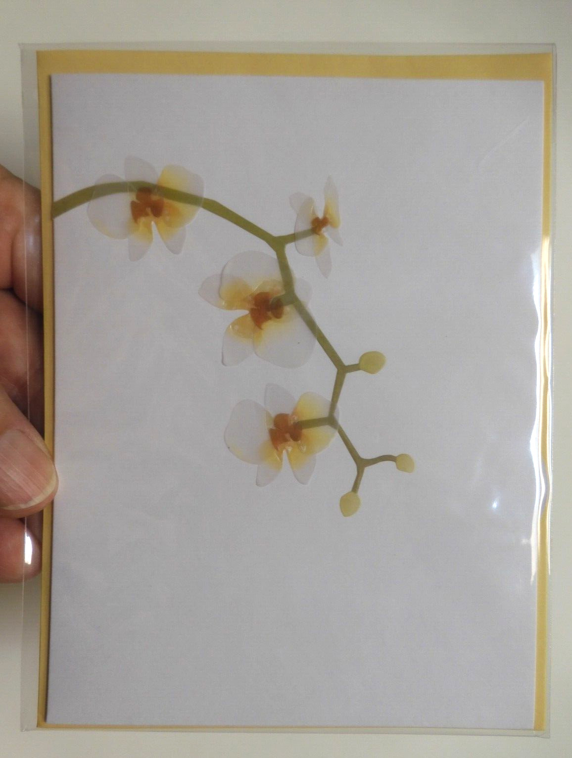 2 Cards Papyrus High Quality Beautiful Orchid Flowers Blank Inside