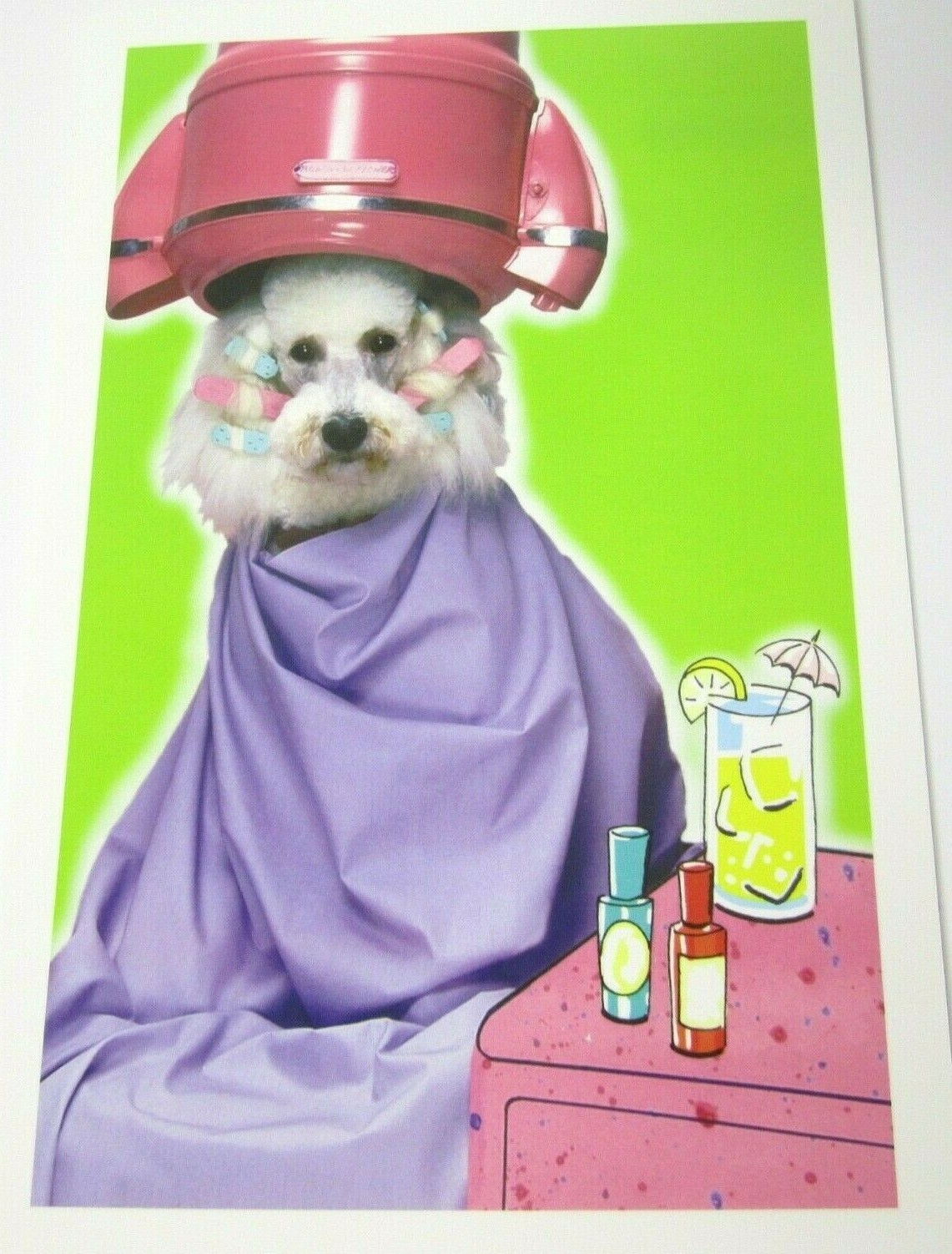 Poodle Birthday Greeting Card with Envelope