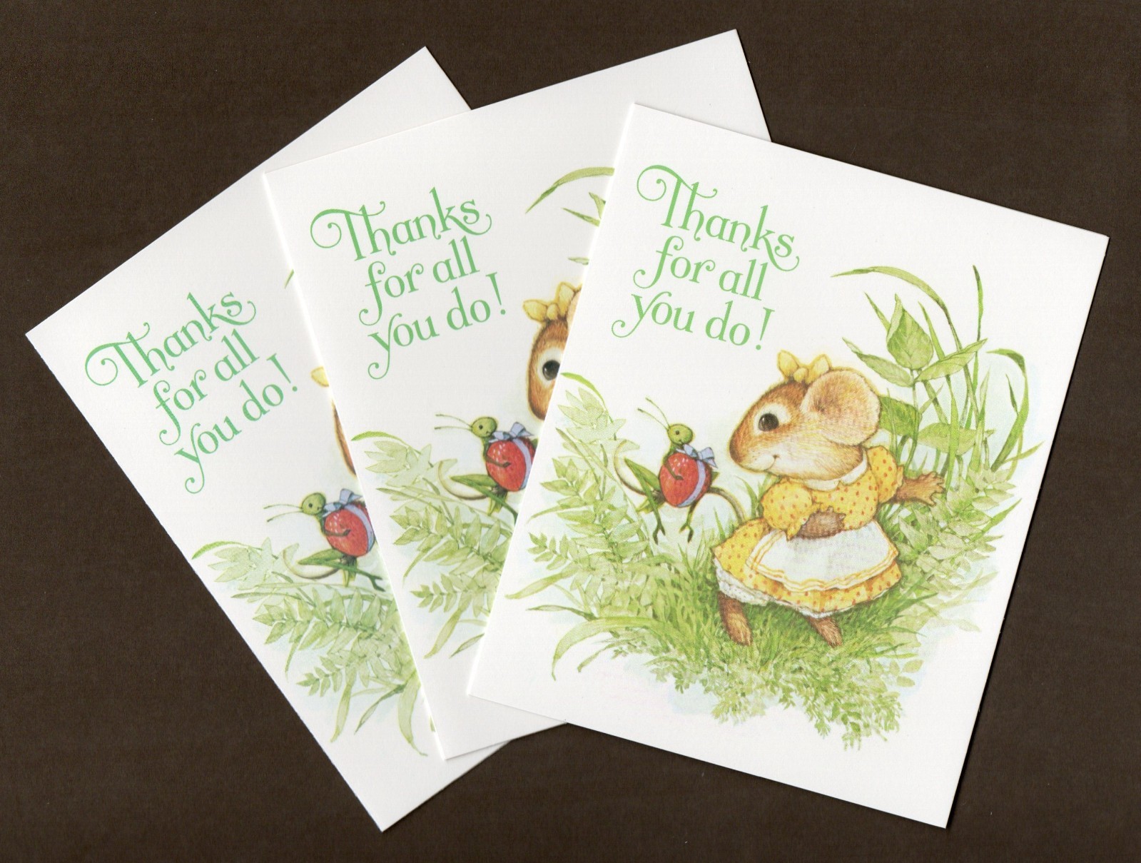 3 Current Inc. Thank You Note Cards, Mouse Grasshopper, Animal Pals, Blank Ins.