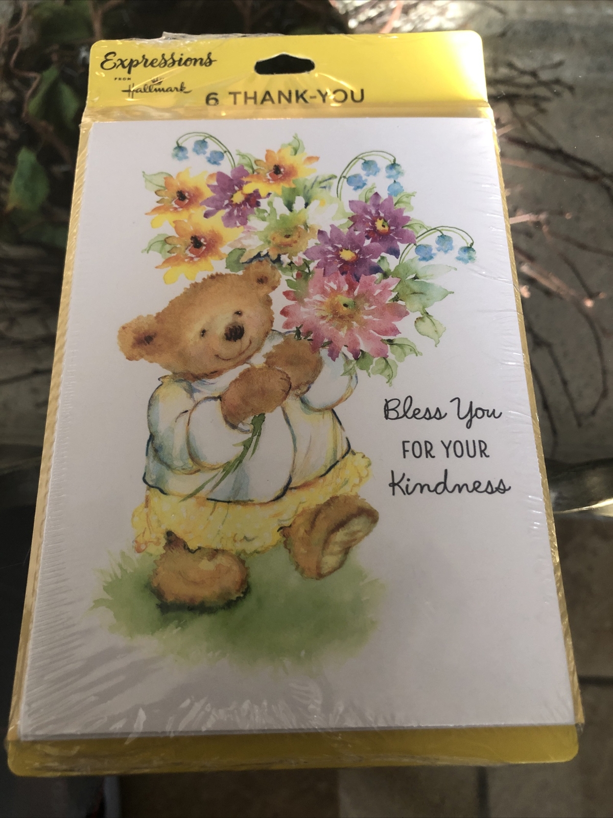 Hallmark Expressions 6 Blank Note Cards Mary Hamilton Bear Bless You Thank You