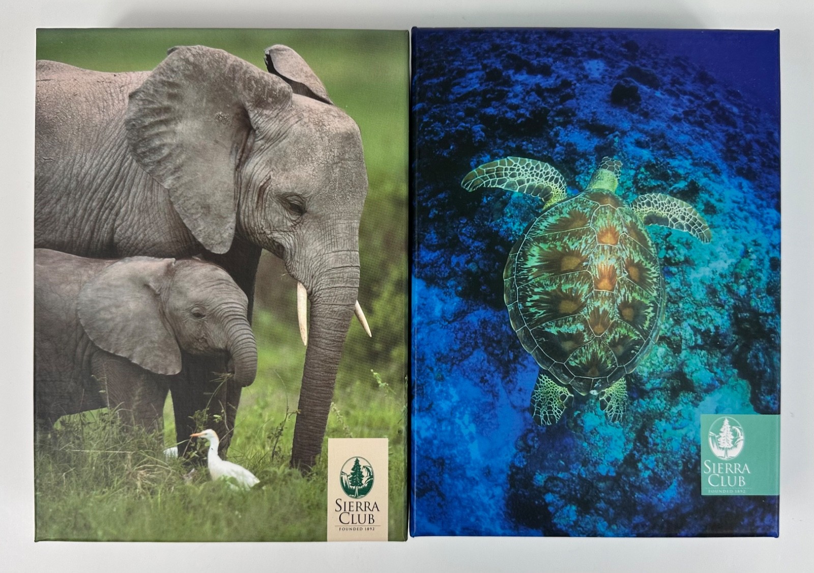 Sierra Club Elephant & Sea Turtles Greeting Cards w/ Envelopes Lot of 40 Cards