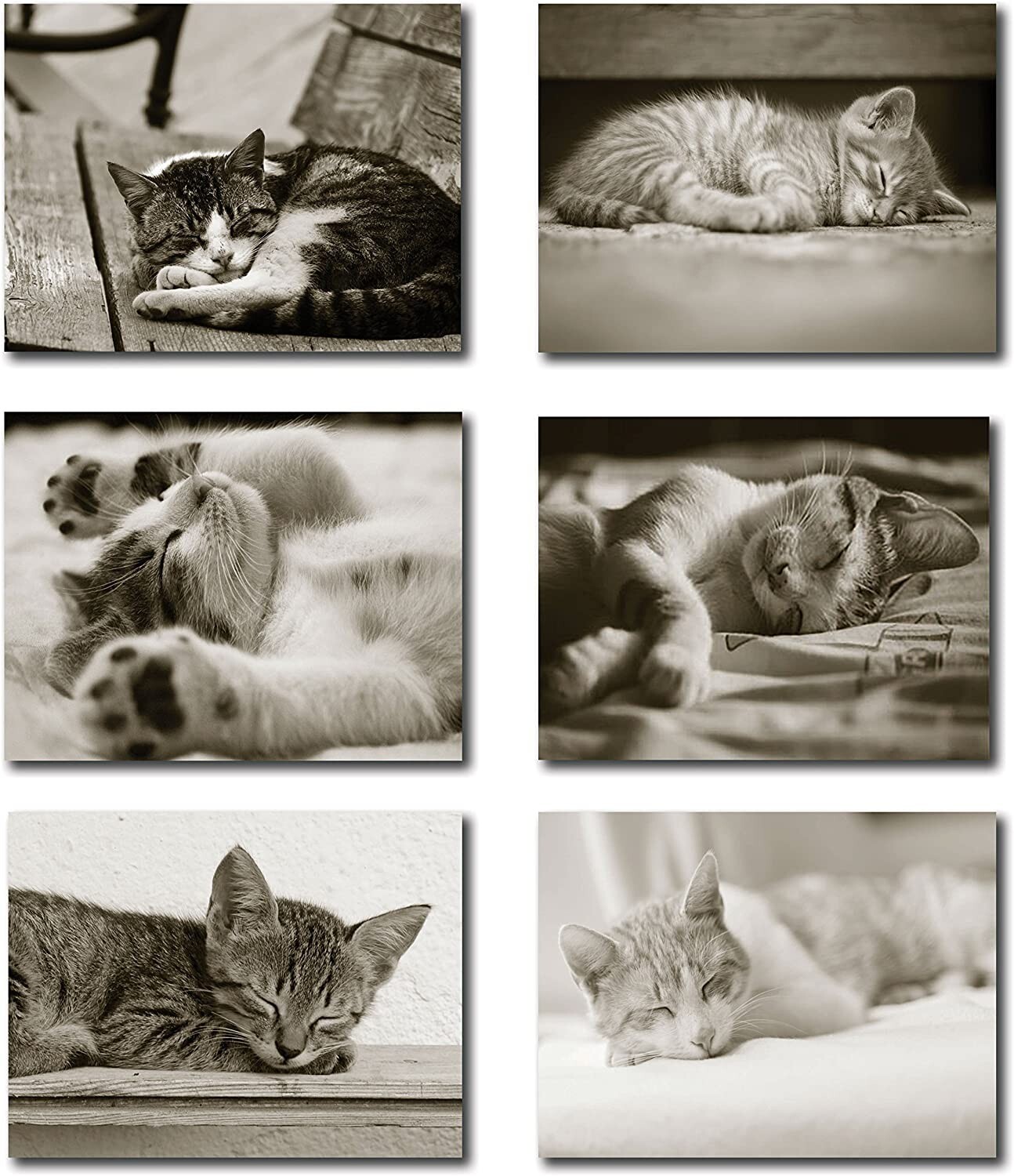 Sleeping Kittens Note Cards-Blank Inside-5.5″x4.25″-12 Pack