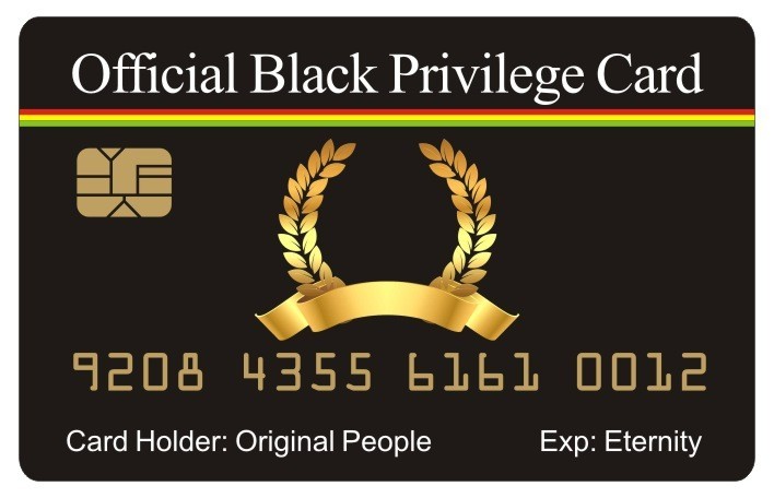 Aromabug™ 8 Pack: Aromabug Funny Fake Bankcards, Official Privilege of BLACK