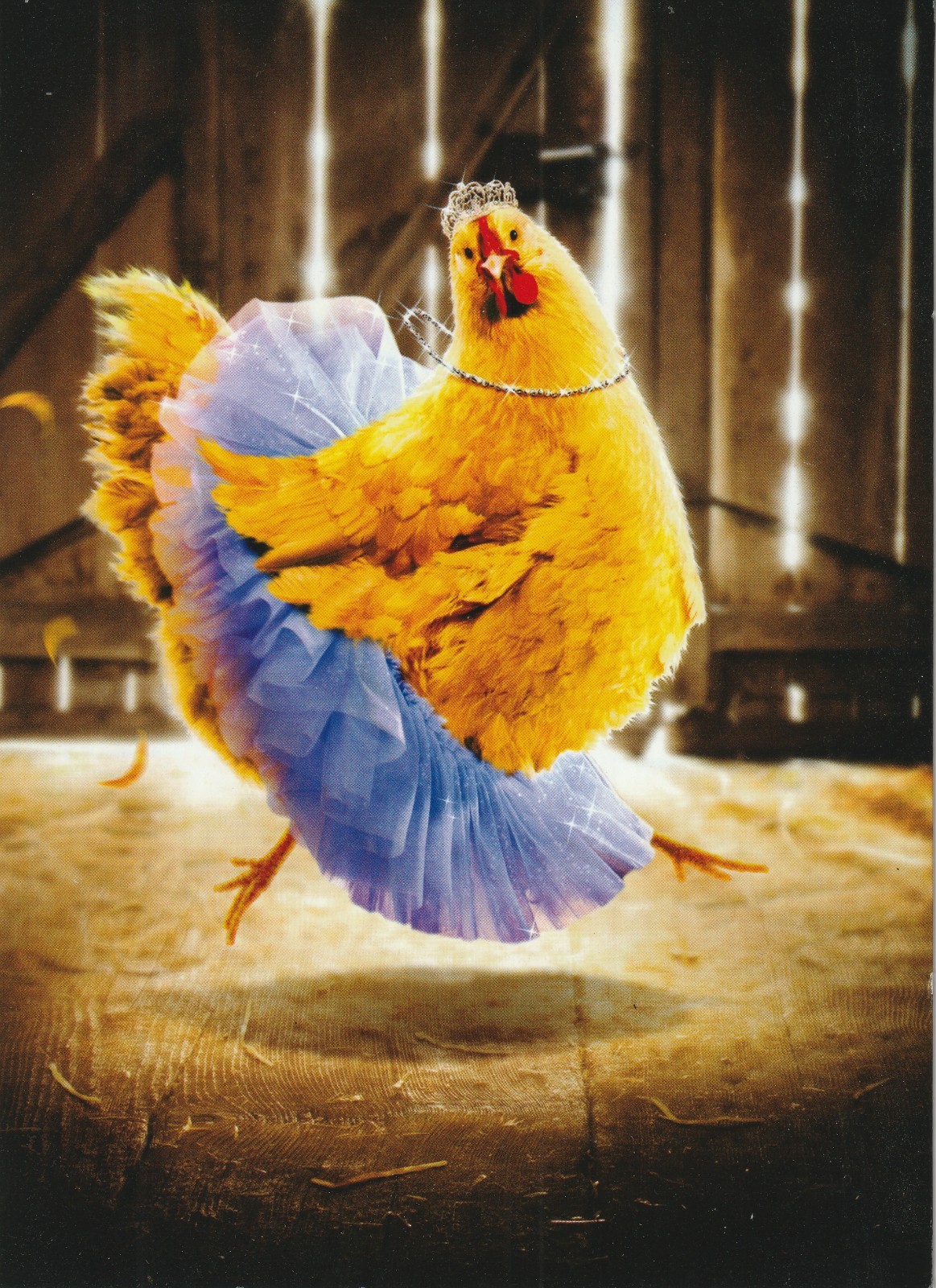 Happy Birthday Card – To One Fabulous Chick