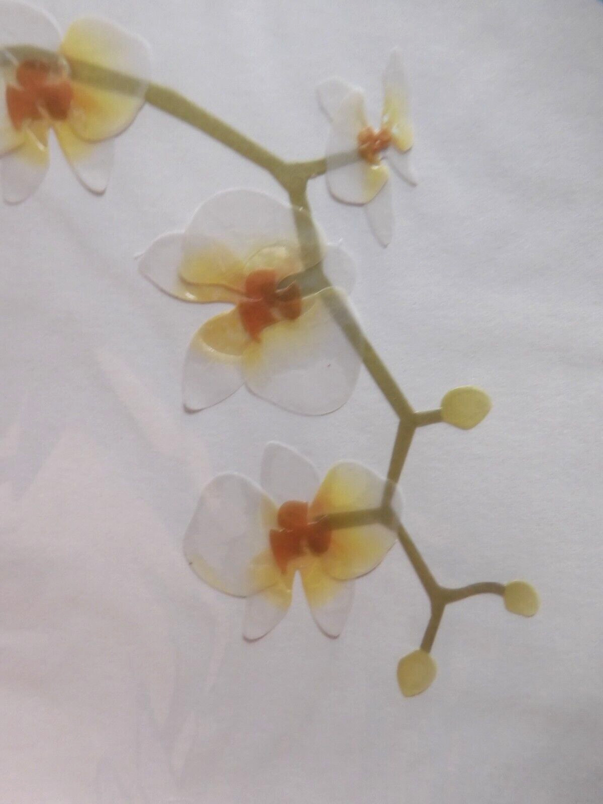 2 Cards Papyrus High Quality Beautiful Orchid Flowers Blank Inside