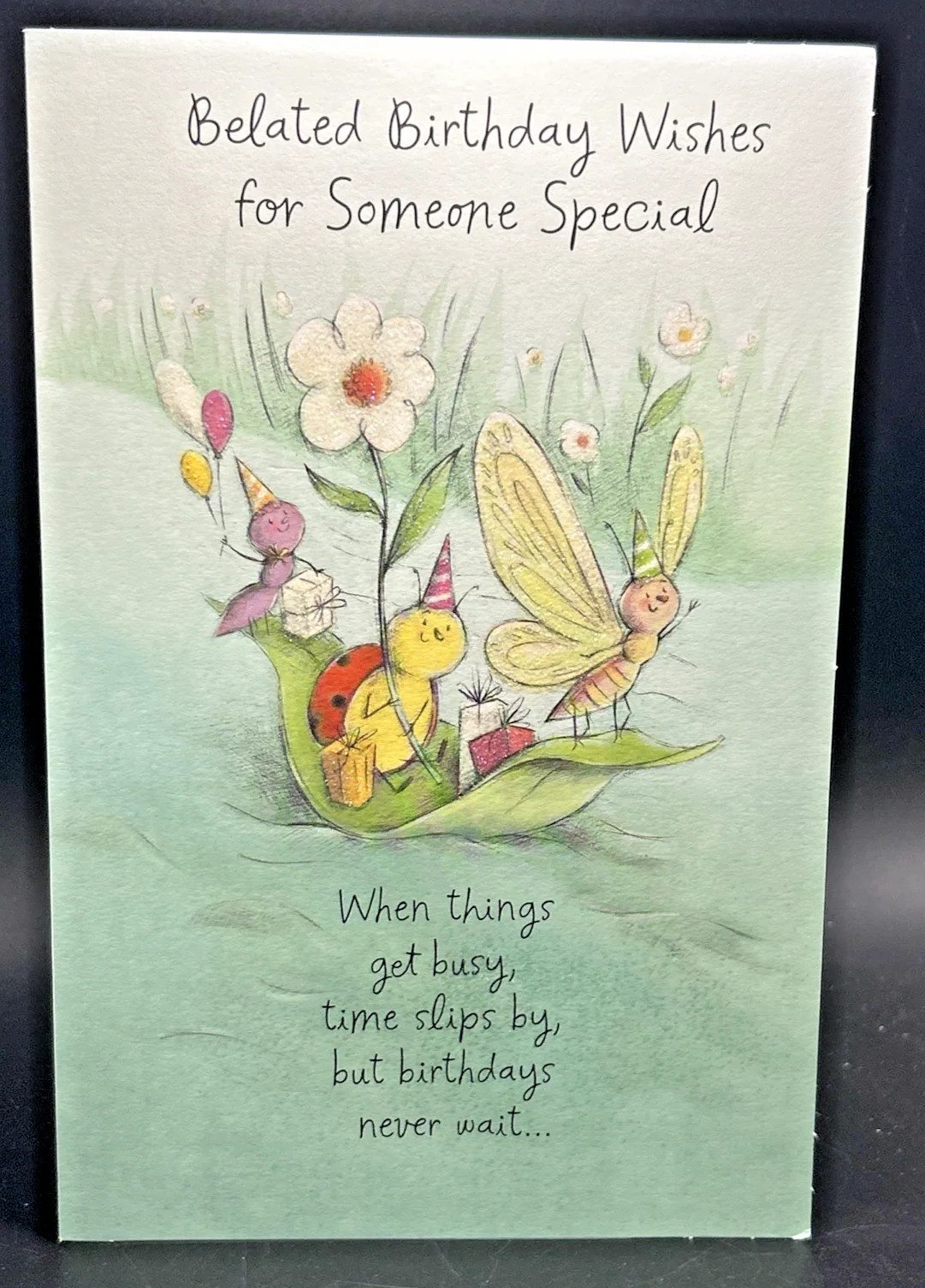 Belated Birthday For Someone Special Greeting Card w/Envelope