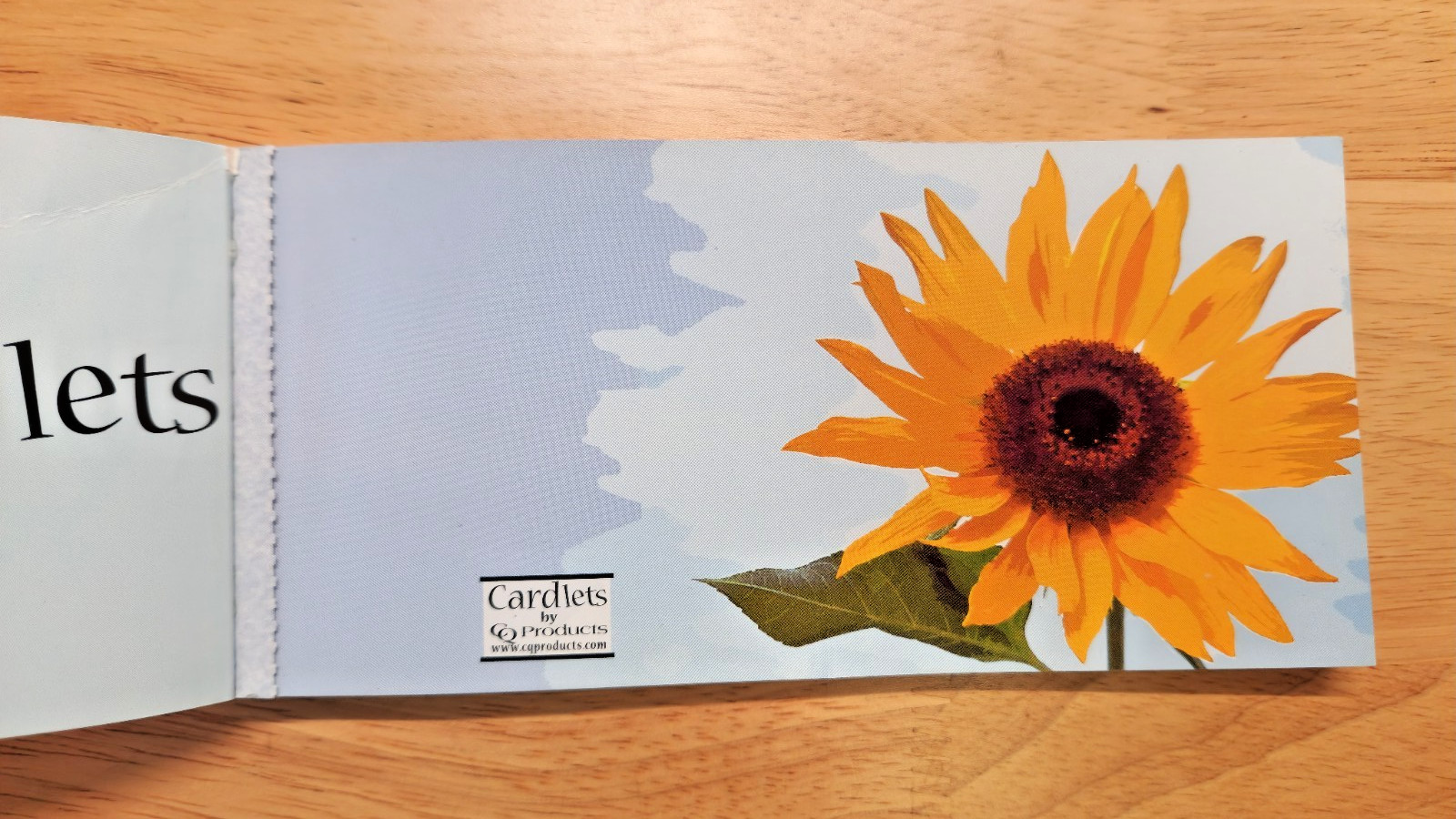 CQ Products Cardlets Everyday Mini Cards Booklet Detachable Gift Tags PARTIAL