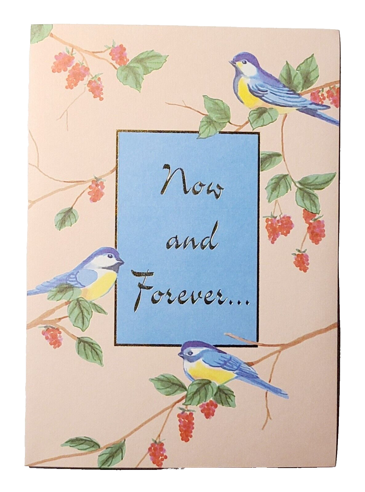 1 Greeting Card/Envelope Special Friend Now Forever Bird Branch Love Happy Heart