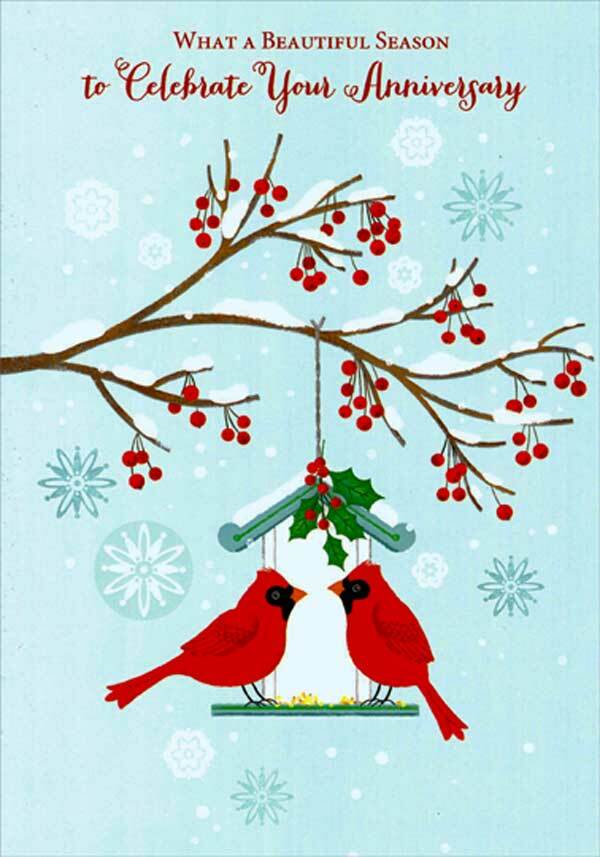 Two Cardinals on Teal and White Birdhouse Christmas Wedding Anniversary Card