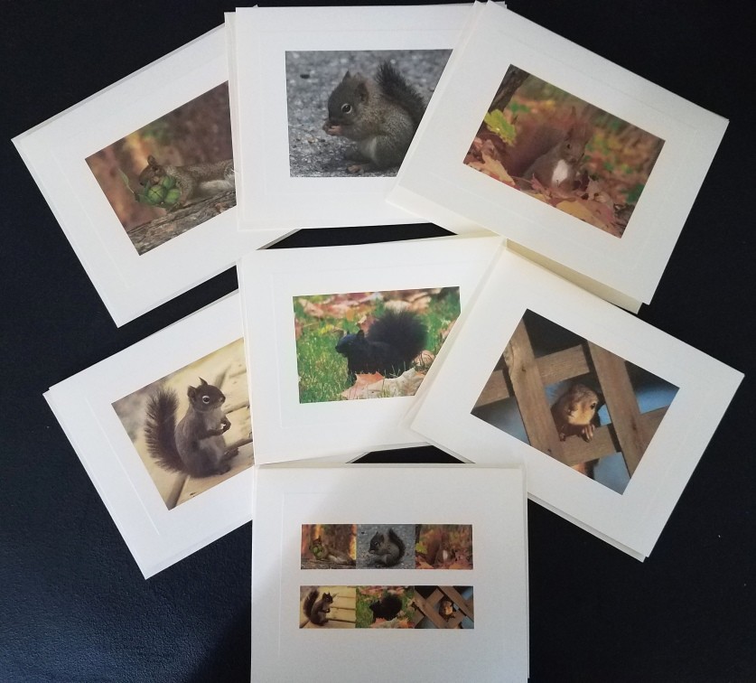 Squirrels of the World Custom Notecards ~ 6-Pack (Blank) by Gifted Pet Creations