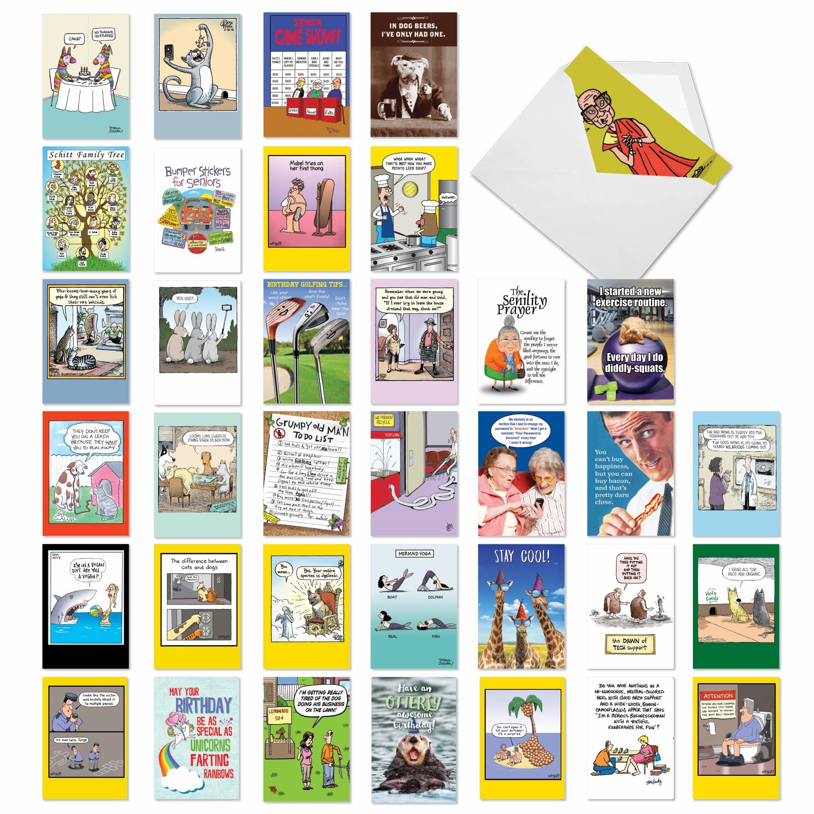 NobleWorks – Variety Pack of 36 Assorted Funny Birthday Greeting Cards Bulk B…