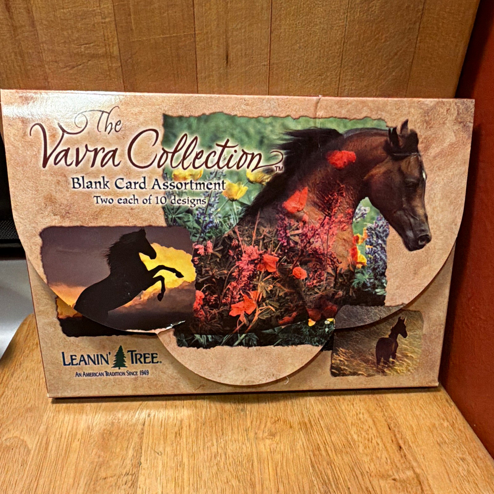 Leanin’ Tree The Vavra Collection Blank Cards 20pk Horses w/ Envelopes