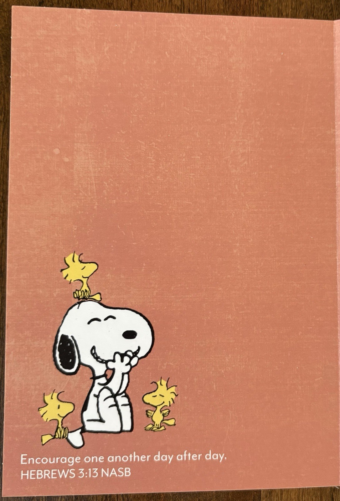 Peanuts Assorted Get Well Cards – Set Of 12 With Envelopes