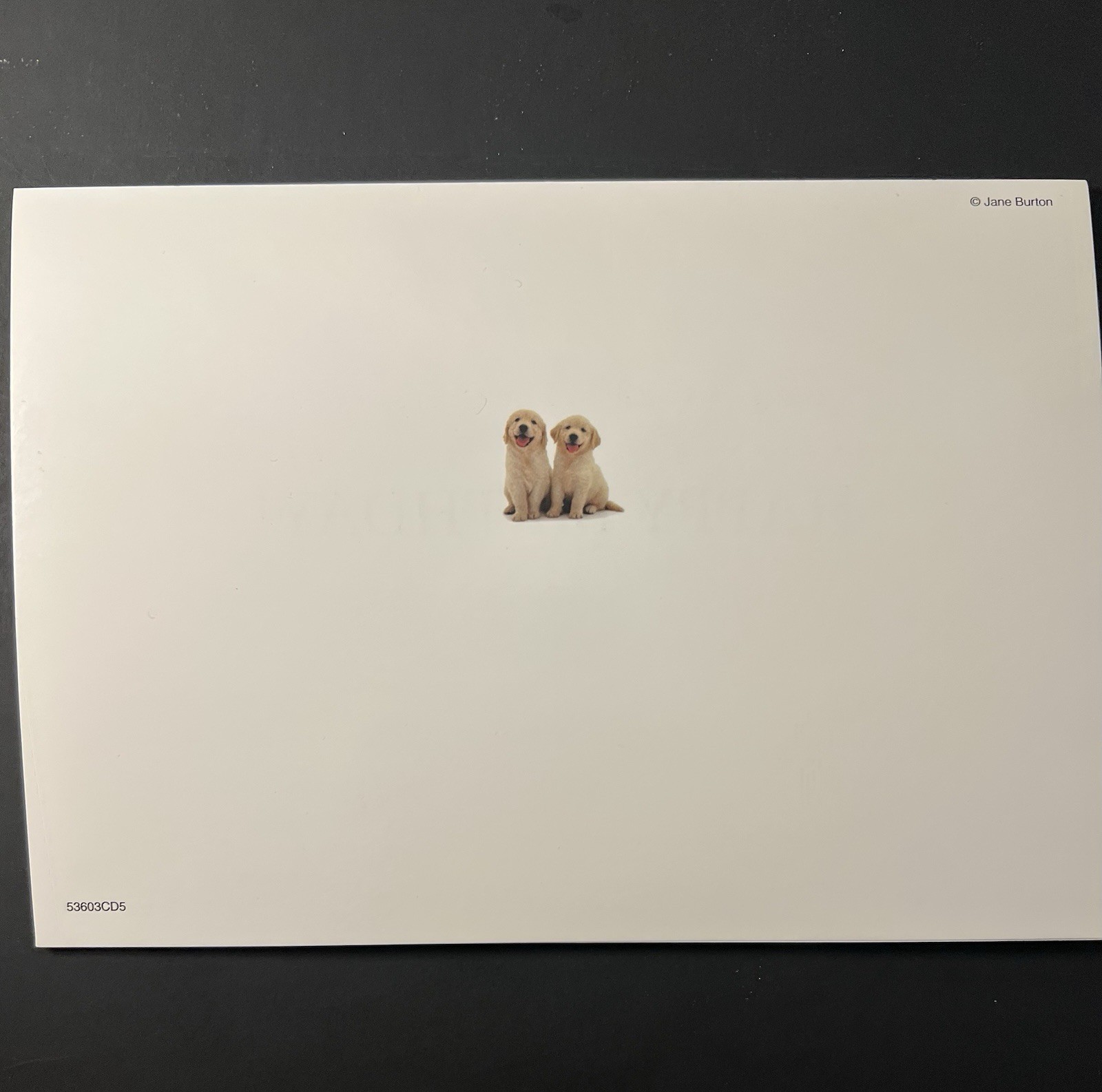 Golden Retriever Puppies By Jane Burton BIRTHDAY Greetings Card w/Env/Seal/Stamp