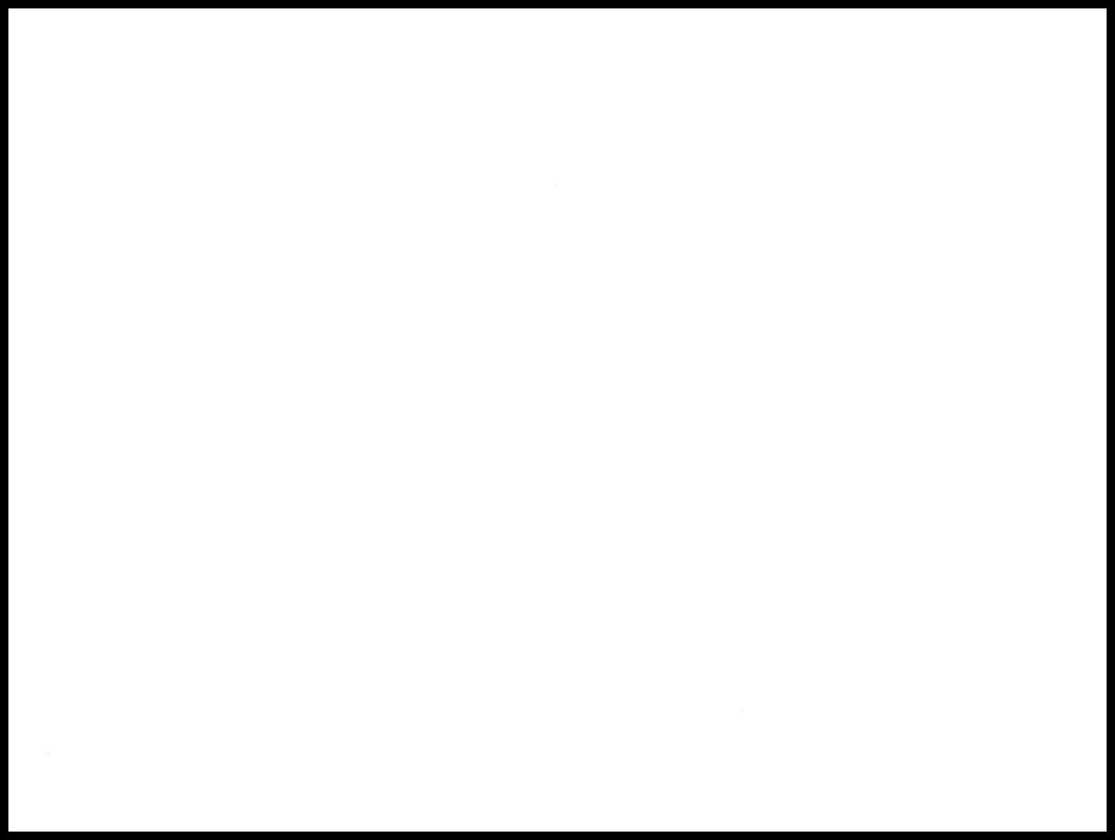 Blank Card – Bird – Any Occasion – 0028
