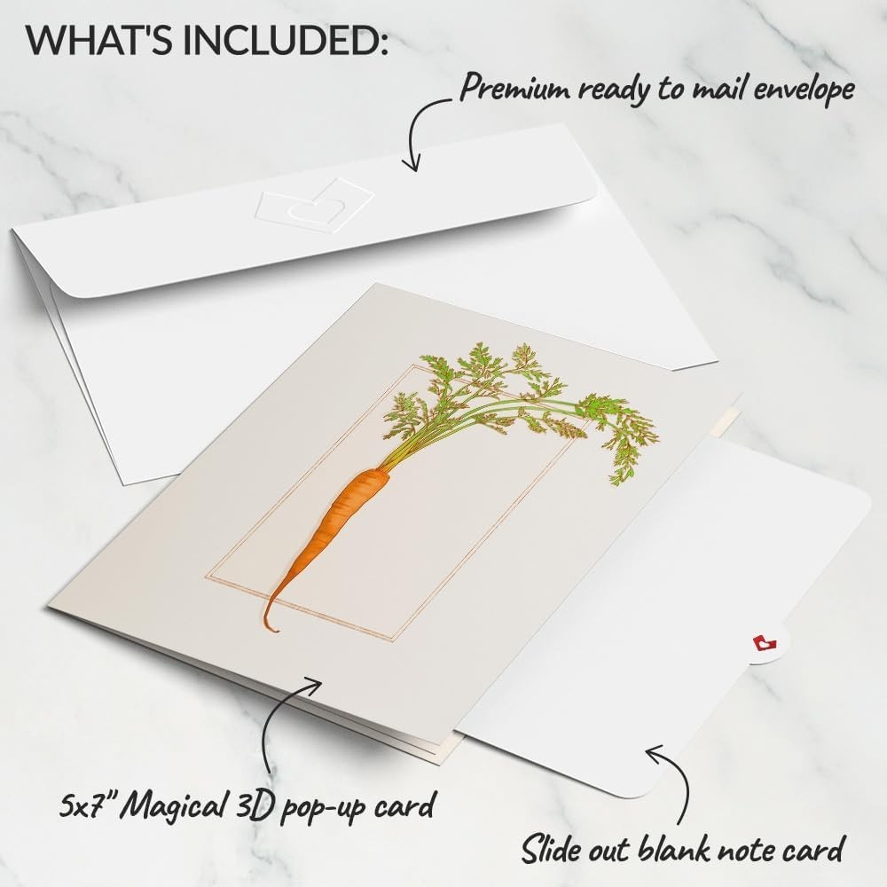 Everyday Pop-Up Card for Her and Him – 3D Greeting Cards for Boys, Girls, Men…
