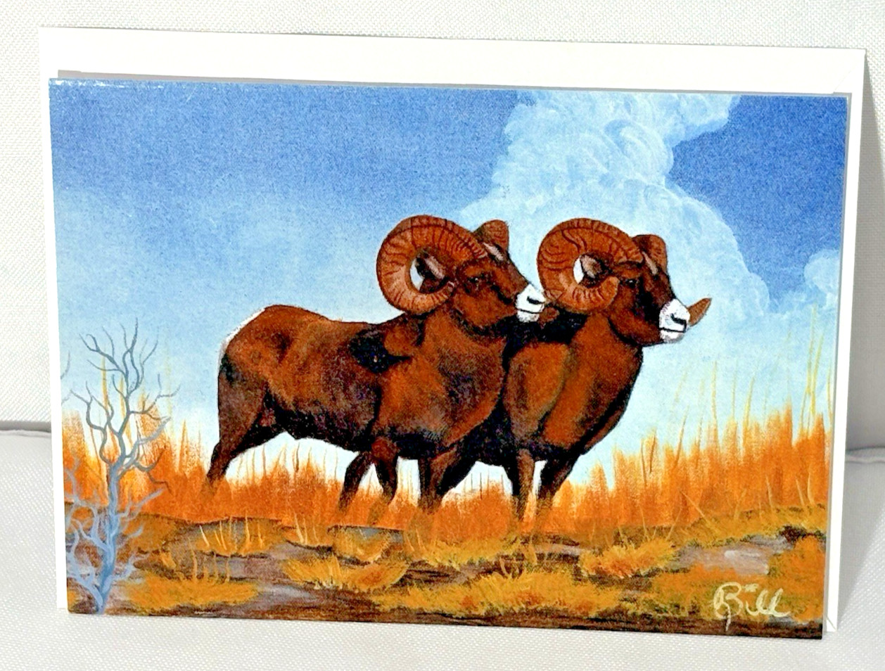 12 THASC Greeting Cards Disabled Artists Mixed Artists Paintings & Envelopes USA