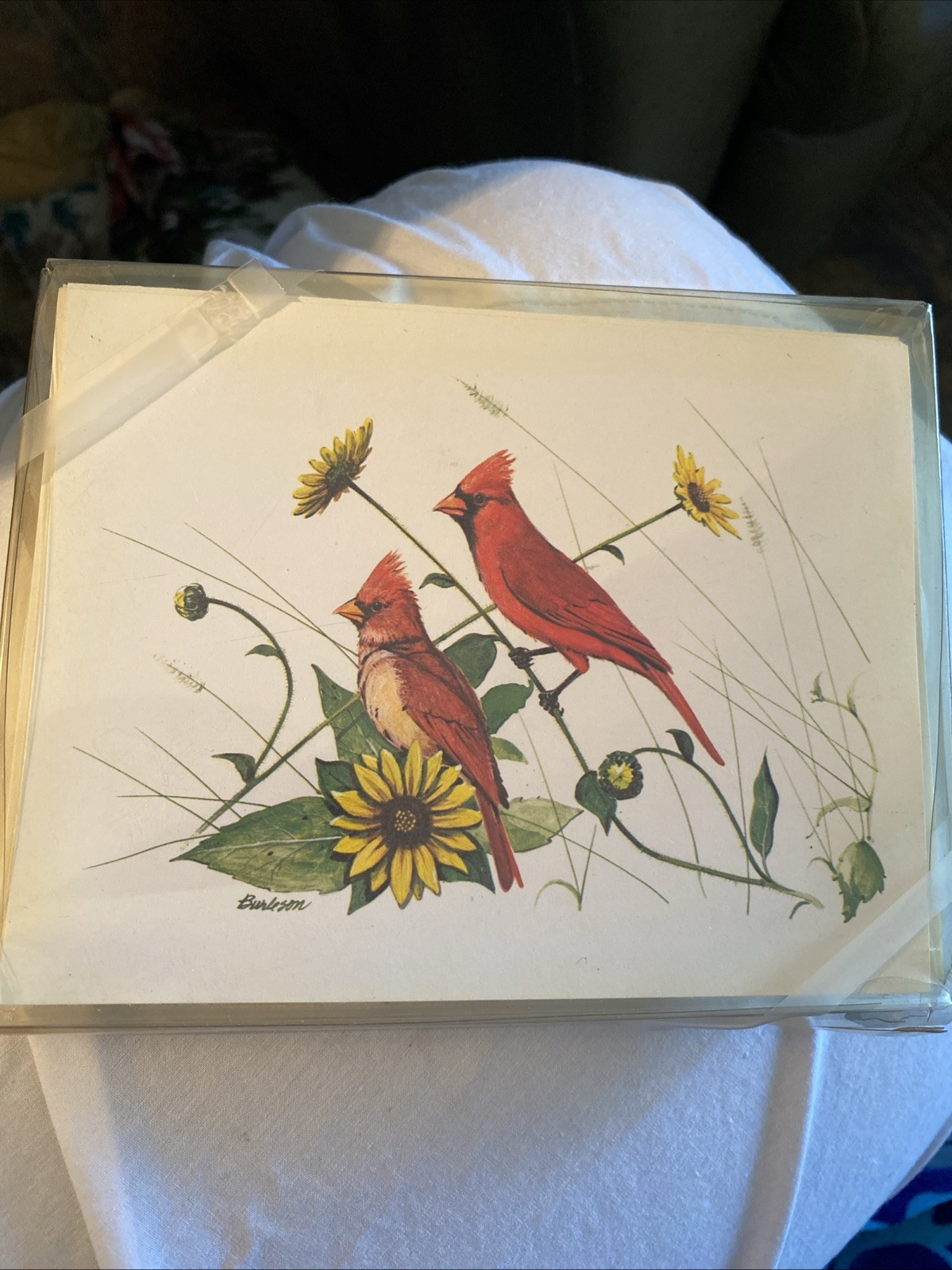 Male Female Red Cardinal Artist Burleson Blank Inside Note Cards – Set of 7