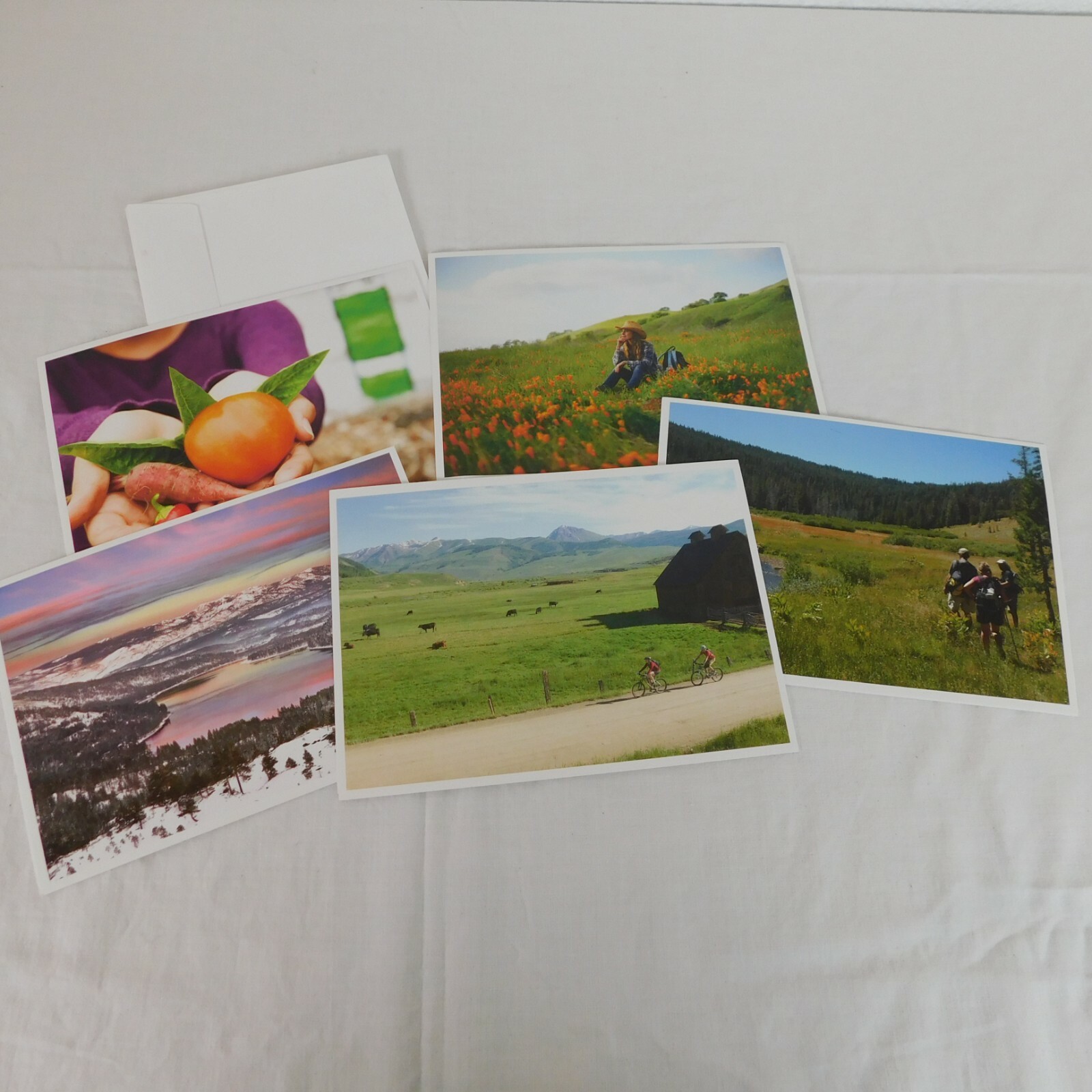 Lot of 5 Blank Cards Trust for Public Lands Mount Diablo Colorado Ridge Garden