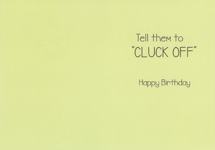 Recycled Paper Greetings You’re No Spring Chicken Humorous / Funny Birthday Card