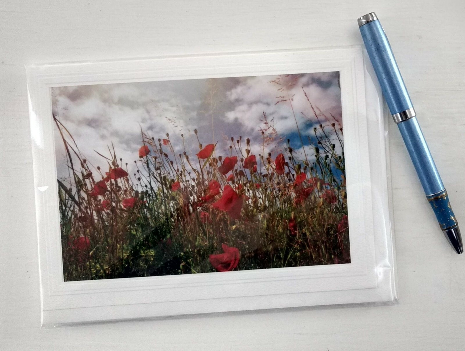 3 Variety Blank Greeting Cards, Nature Themed, Lovely as Gifts, Artist is Seller